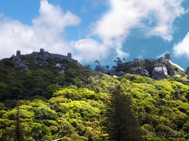 Про королевских сорок, мавританский замок и креветочный суп
