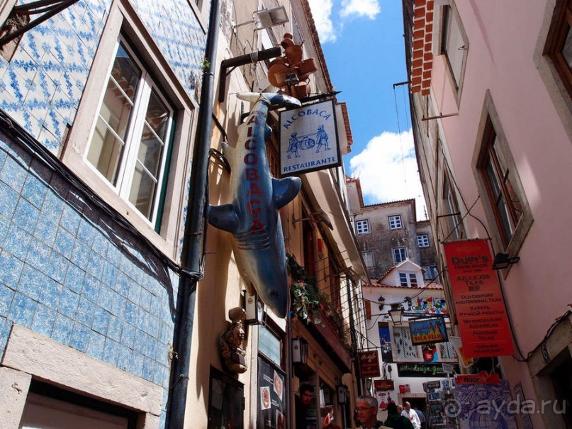 Про королевских сорок, мавританский замок и креветочный суп