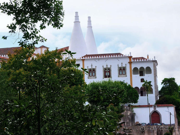 Про королевских сорок, мавританский замок и креветочный суп