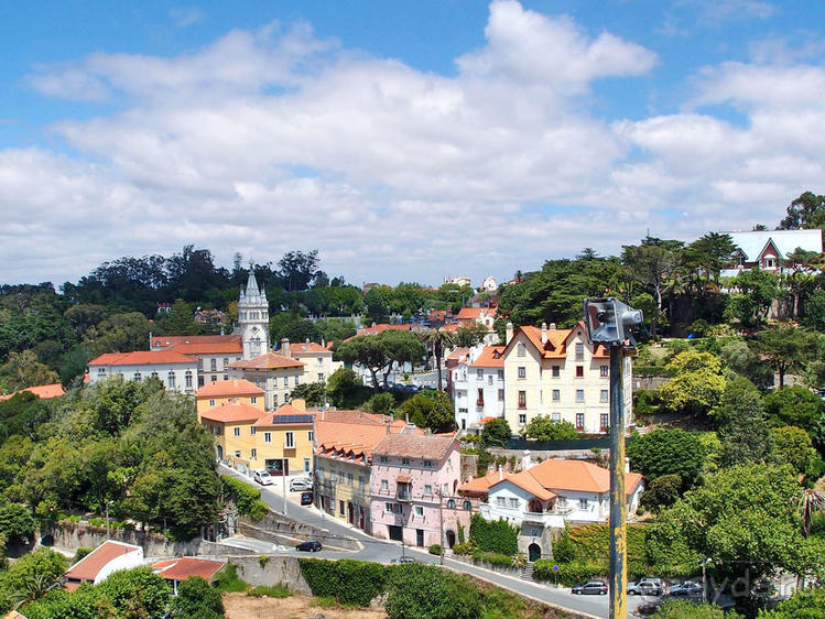 Про королевских сорок, мавританский замок и креветочный суп