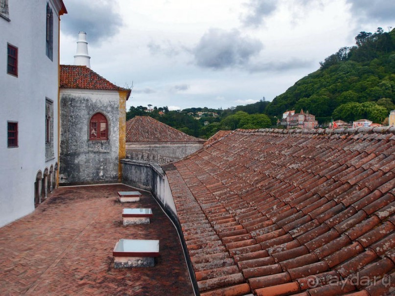 Про королевских сорок, мавританский замок и креветочный суп
