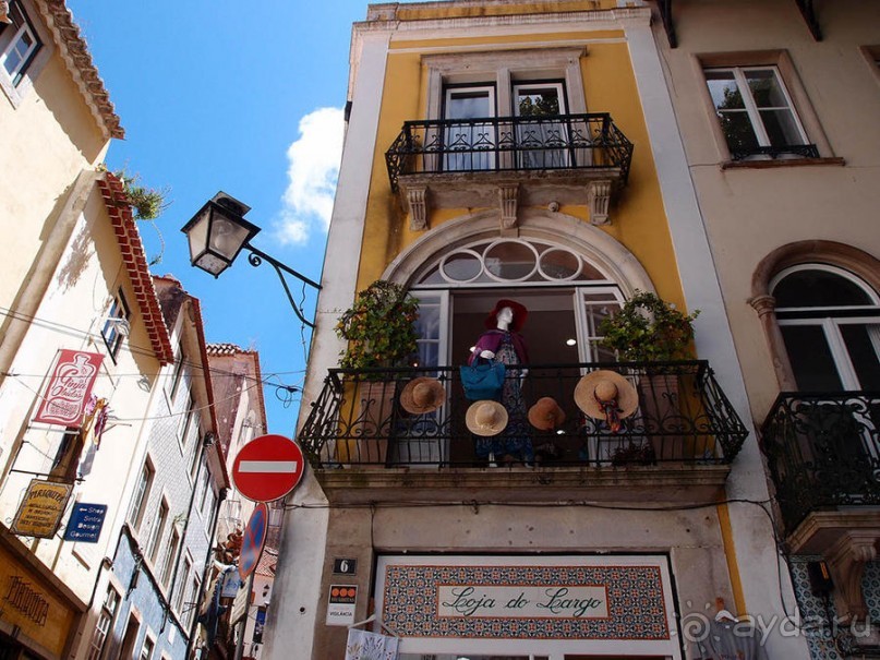 Про королевских сорок, мавританский замок и креветочный суп