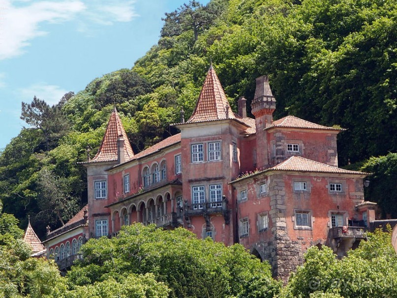 Про королевских сорок, мавританский замок и креветочный суп