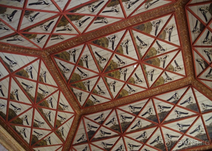 Про королевских сорок, мавританский замок и креветочный суп