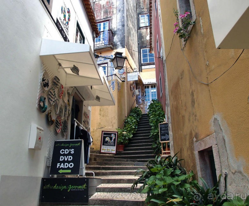 Про королевских сорок, мавританский замок и креветочный суп