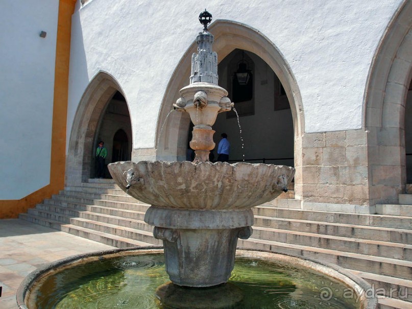 Про королевских сорок, мавританский замок и креветочный суп