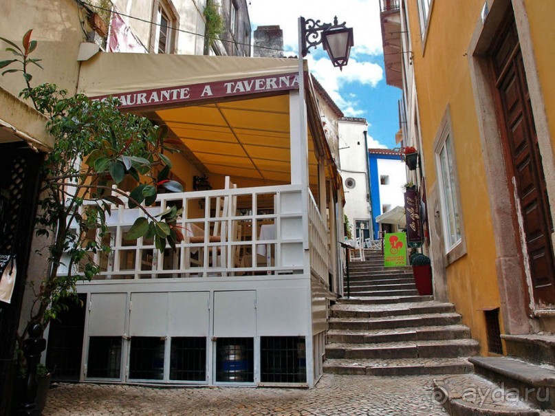 Про королевских сорок, мавританский замок и креветочный суп