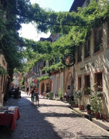 Фрайбург — вишневый пирог