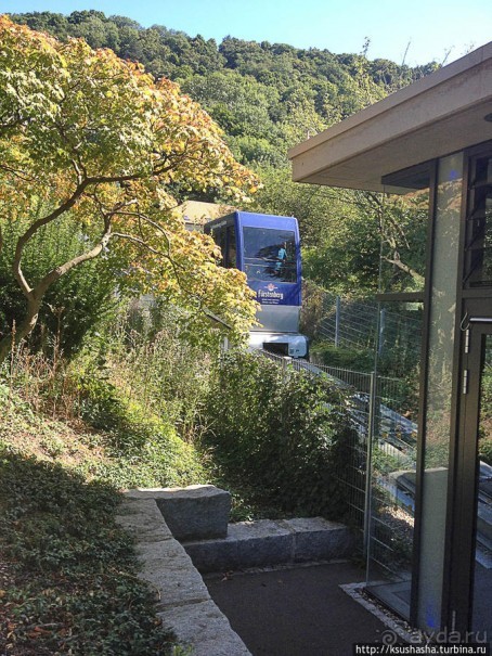 Фрайбург — вишневый пирог