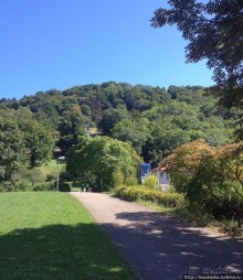 Фрайбург — вишневый пирог