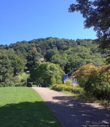 Фрайбург — вишневый пирог