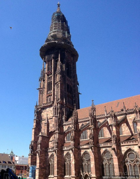 Фрайбург — вишневый пирог