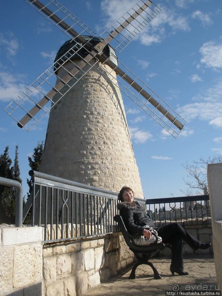 Городские парки