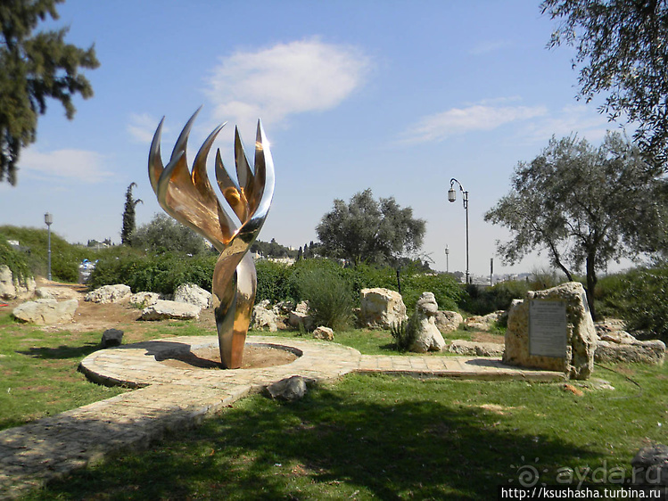 Городские парки