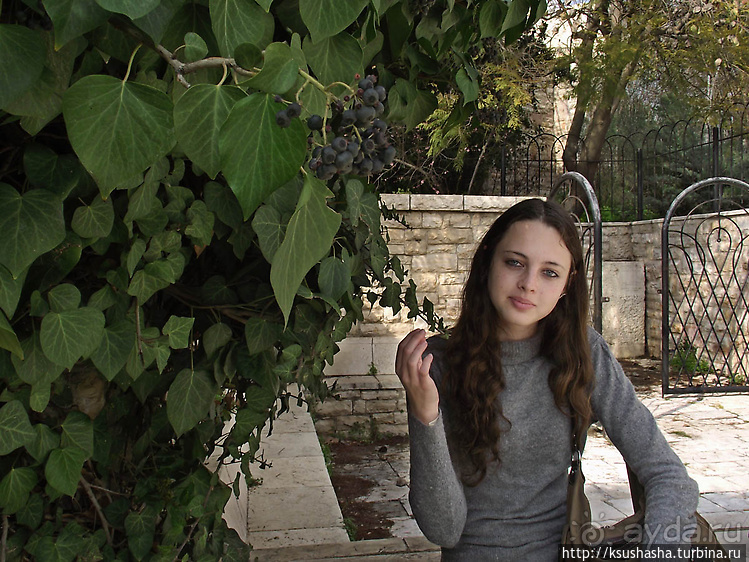 Городские парки