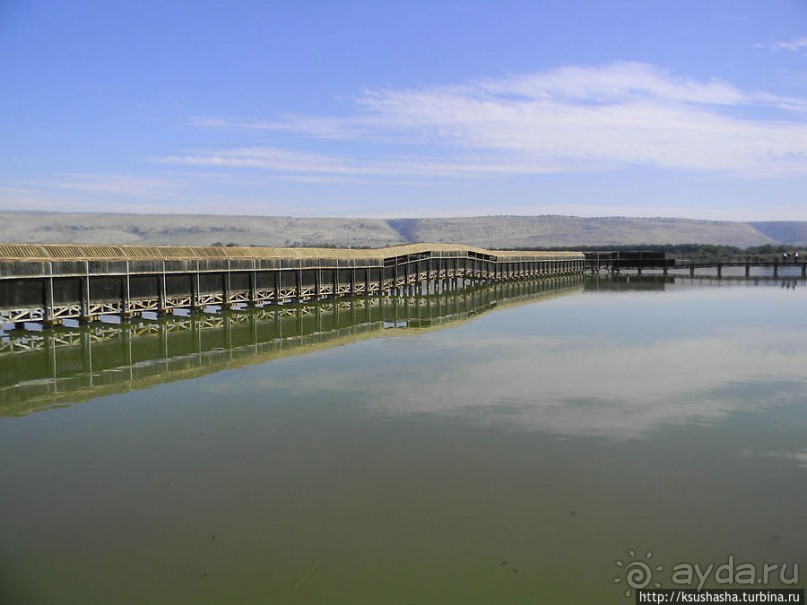 Альбом отзыва "Заповедник Хула"