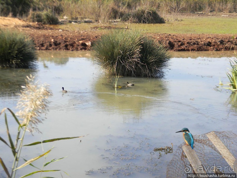 Альбом отзыва "Заповедник Хула"