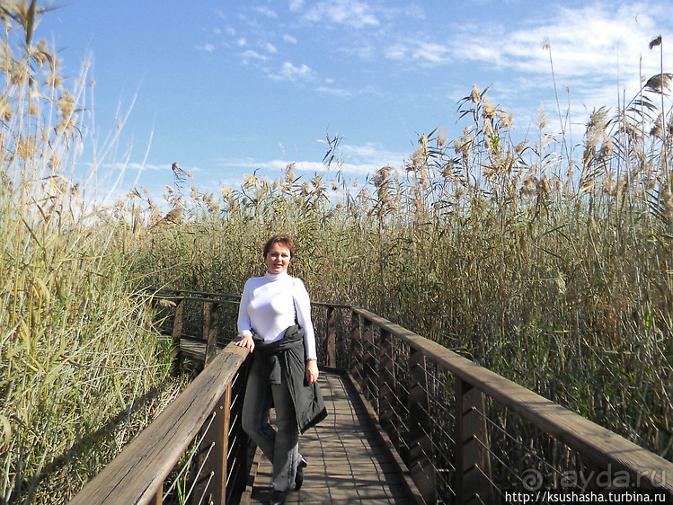 Альбом отзыва "Заповедник Хула"