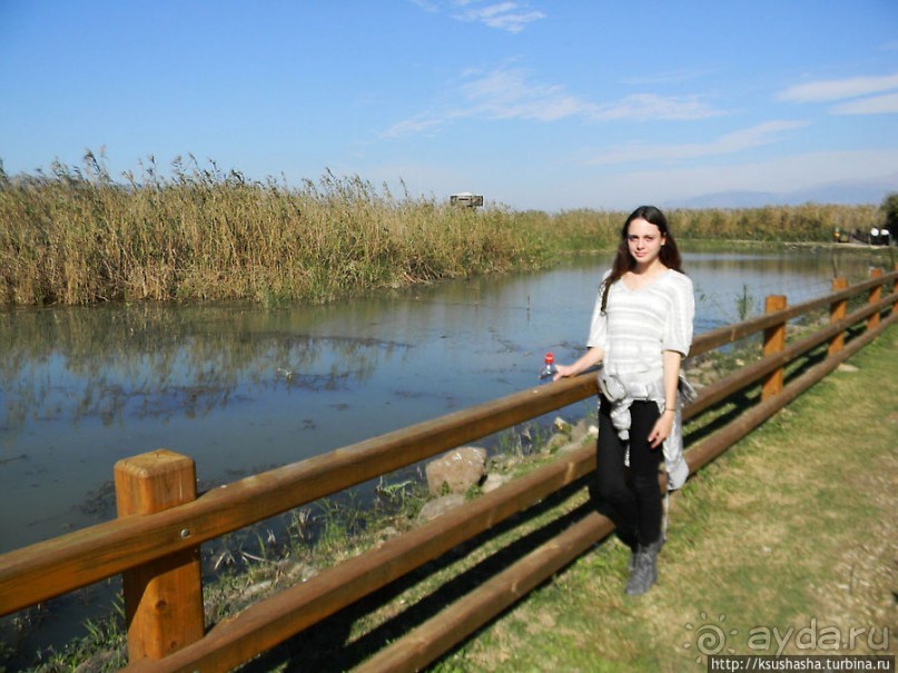 Альбом отзыва "Заповедник Хула"