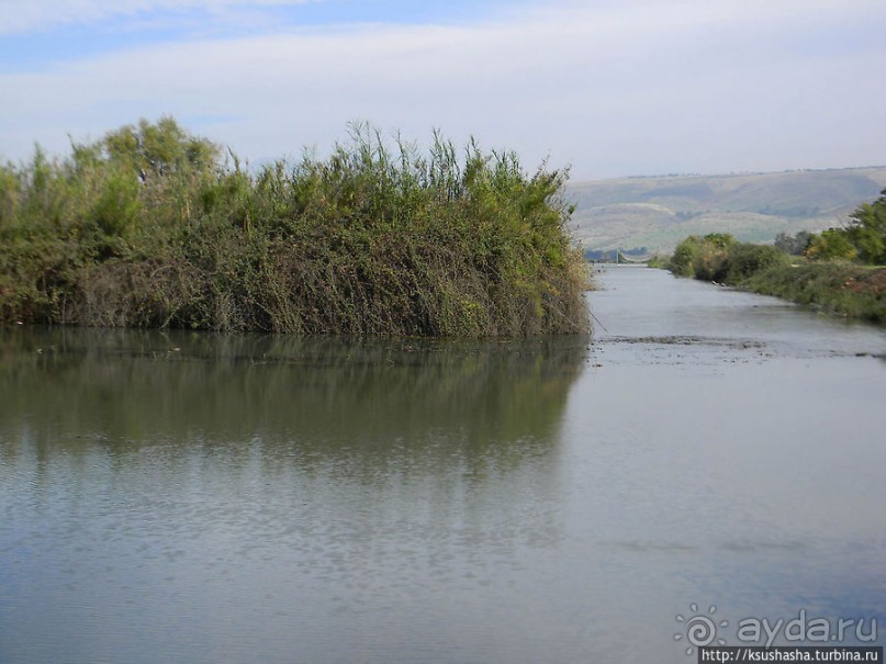 Альбом отзыва "Заповедник Хула"
