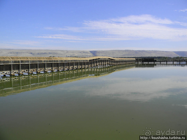 Альбом отзыва "Заповедник Хула"