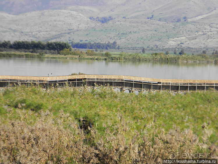 Альбом отзыва "Заповедник Хула"