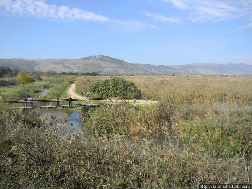 Альбом отзыва "Заповедник Хула"