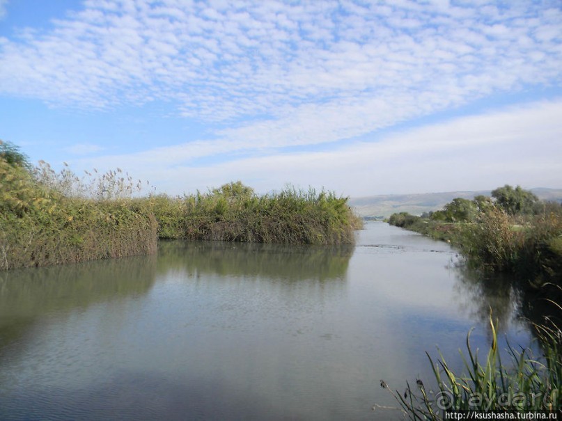 Альбом отзыва "Заповедник Хула"