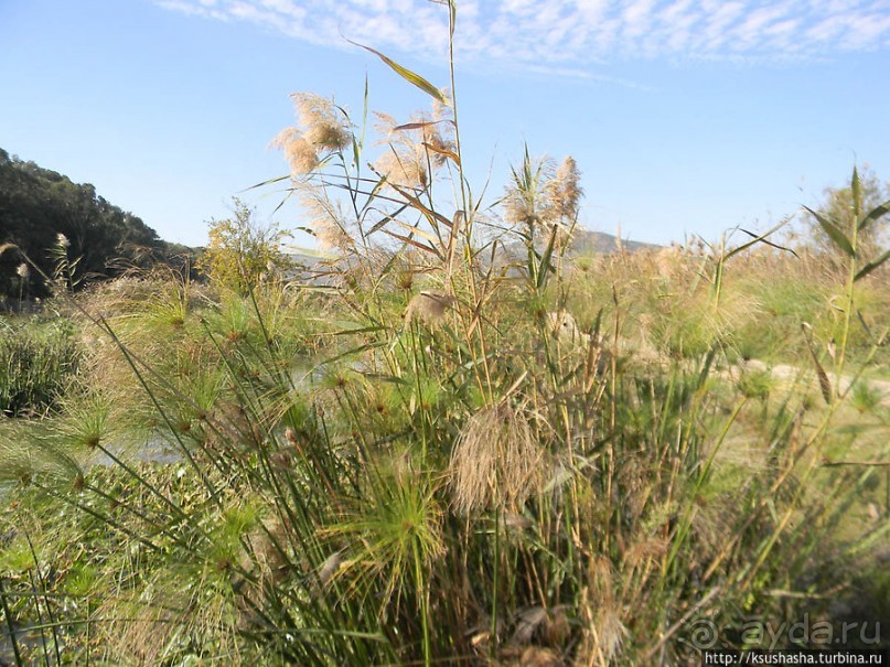 Альбом отзыва "Заповедник Хула"