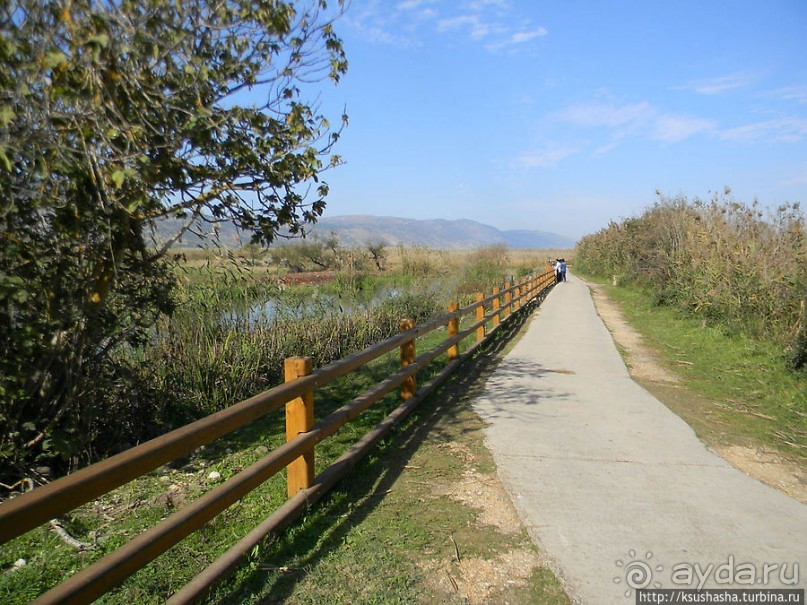 Альбом отзыва "Заповедник Хула"