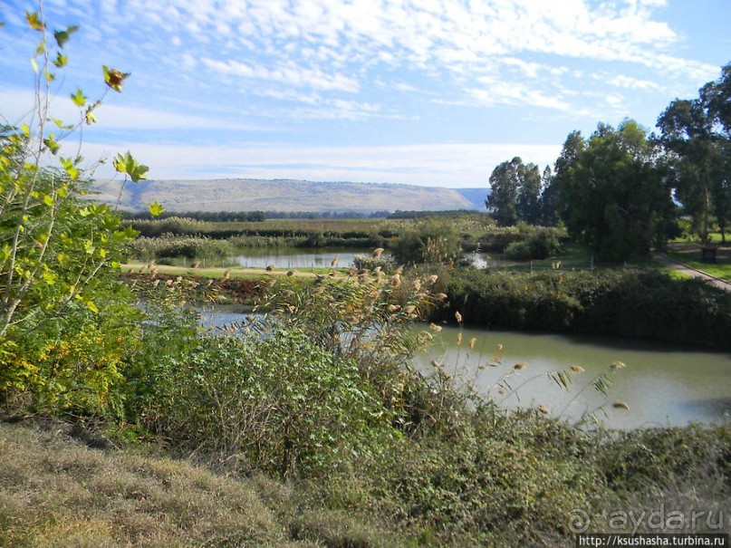 Альбом отзыва "Заповедник Хула"