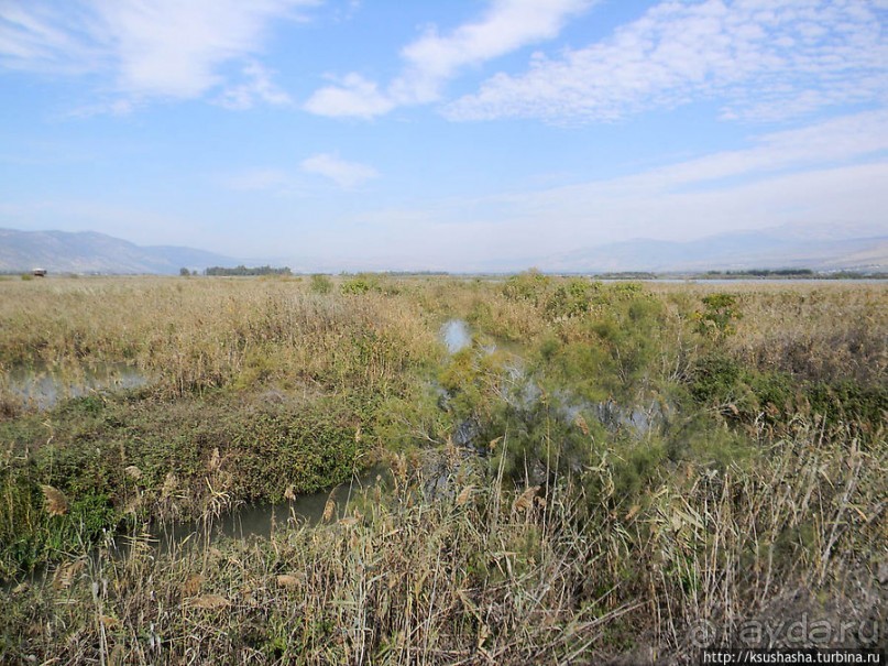 Альбом отзыва "Заповедник Хула"
