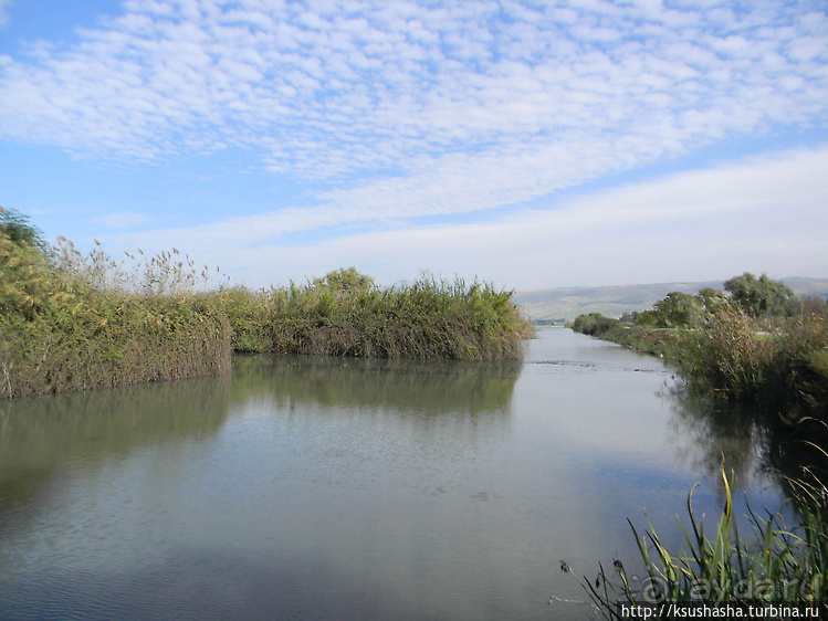Альбом отзыва "Заповедник Хула"