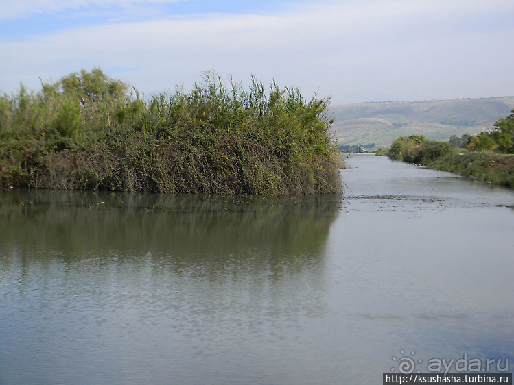 Альбом отзыва "Заповедник Хула"