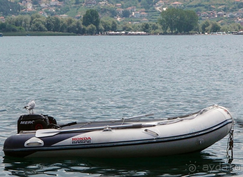 Символ Веры