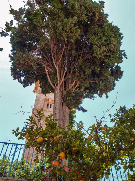 Войти в другие двери Храма