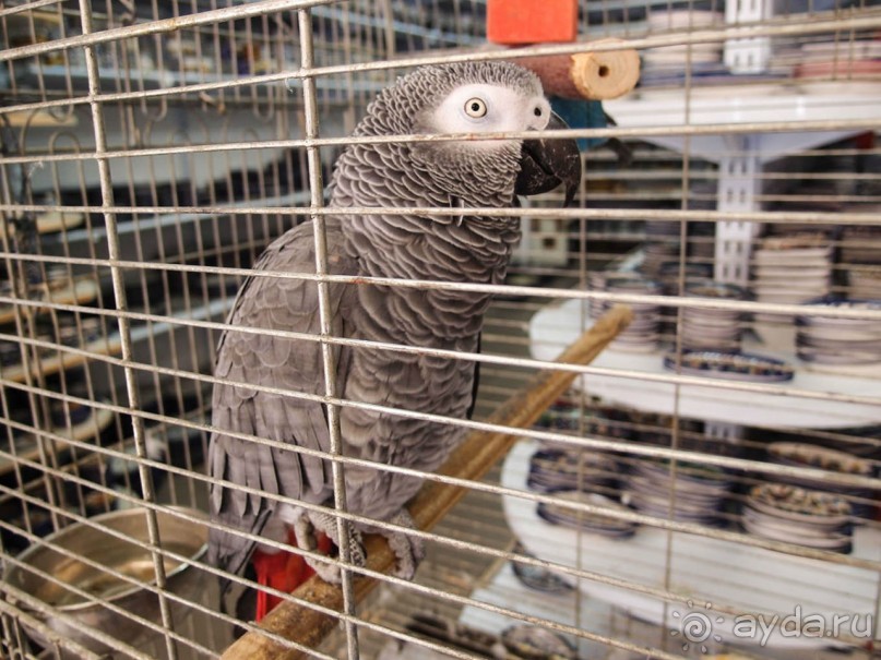 Войти в другие двери Храма