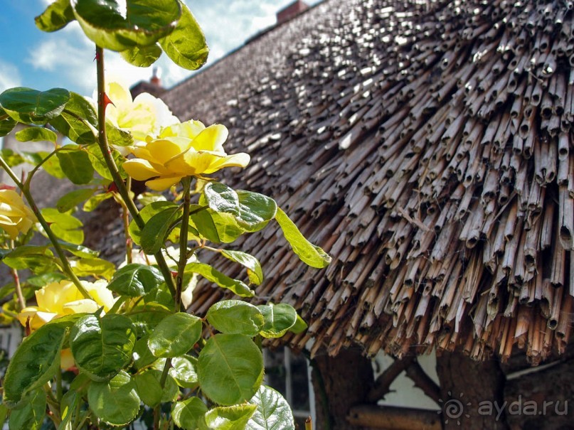 В стиле кантри