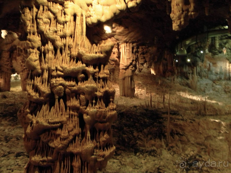 Иудейские горы