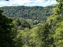 Сигулда. Цветочное настроение