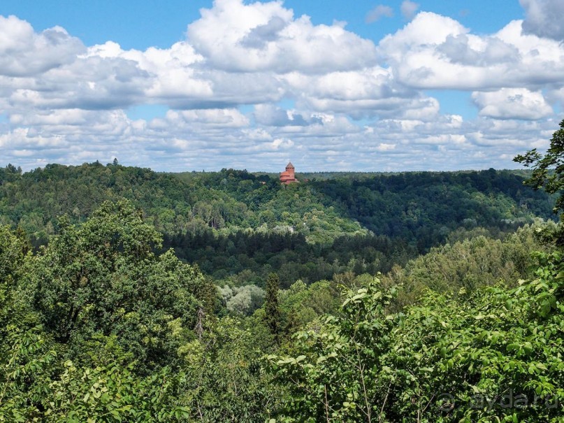 Сигулда. Цветочное настроение