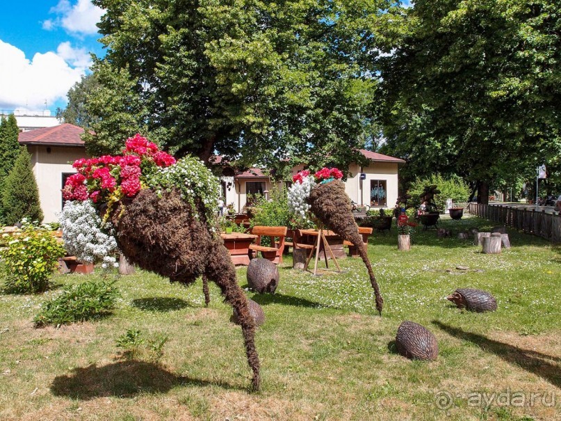 Сигулда. Цветочное настроение