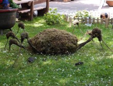 Сигулда. Цветочное настроение