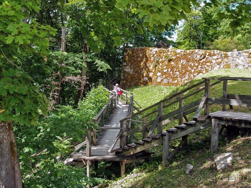 Сигулда. Цветочное настроение