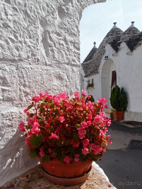 Трули́-труля́-тру-ля-ля-ля