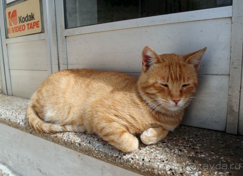 Трули́-труля́-тру-ля-ля-ля