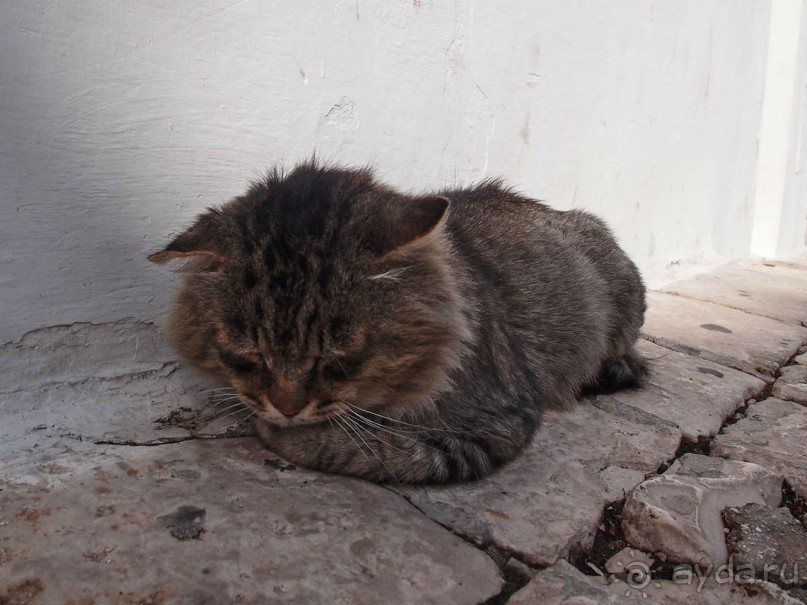 Трули́-труля́-тру-ля-ля-ля