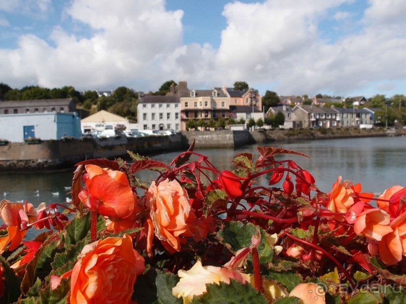 Обаятельный малыш