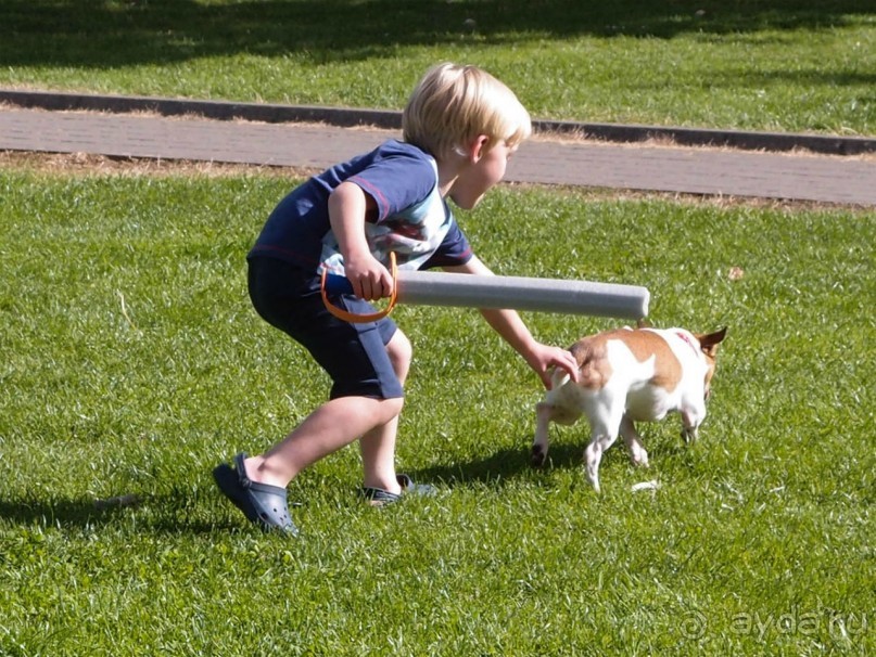 Обаятельный малыш