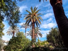 В гареме чёрного визиря